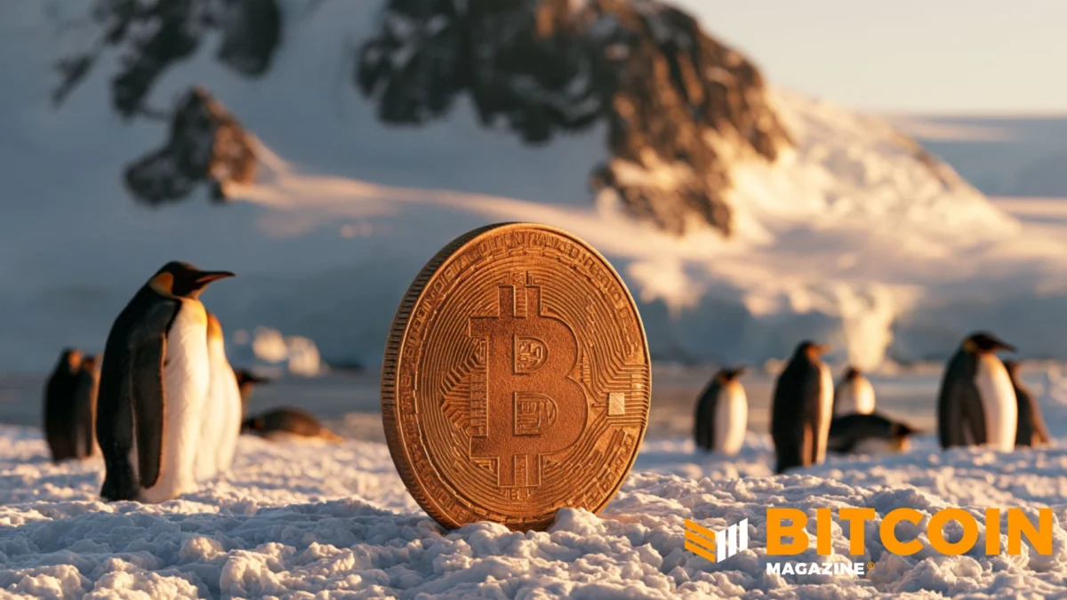 Antarctica: Cold Storage Edition Beckons Bitcoin Developers to the Bottom of the World