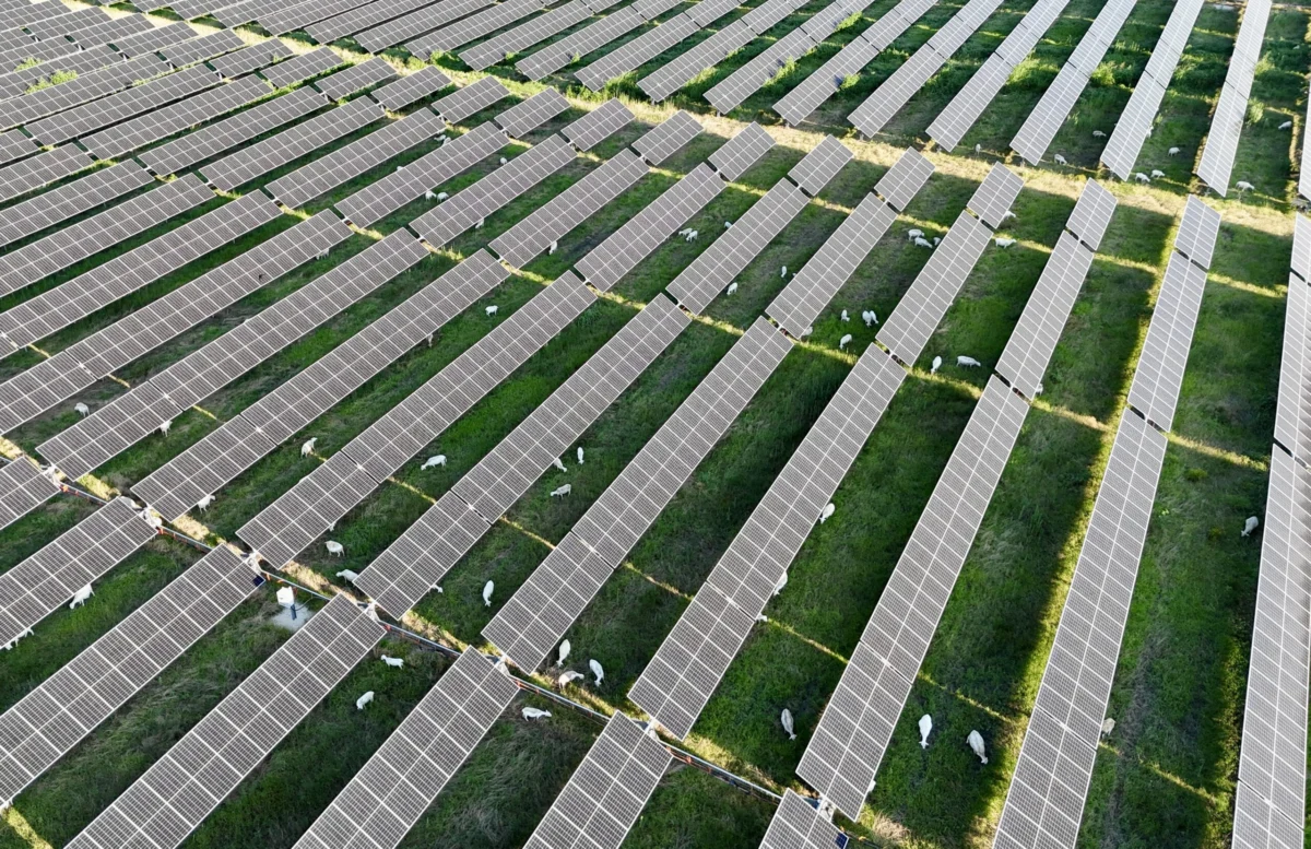 Solar and Storage Investments Drive Down Wholesale Electricity Prices as Clean Energy Infrastructure Scales Across the United States